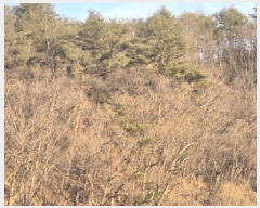  2025Ÿ��10171 ��� ���籺 û��� ���� ��77      ����(�Ӿ�)���