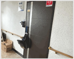  2025Ÿ��10183  ���ǽ��ڰ��