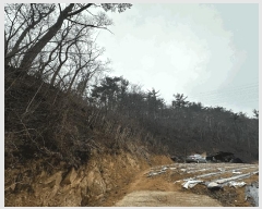  2025Ÿ��10185 ��� ������ ������ ȭ���� ��188-1      ����(�Ӿ�)���