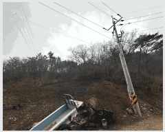  2025Ÿ��10185 ��� ������ ������ ȭ���� ��188-1      ����(�Ӿ�)���