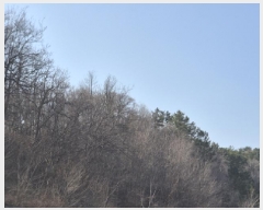  2025Ÿ��10185 ��� ������ ������ ȭ���� ��188-1      ����(�Ӿ�)���