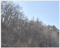  2025Ÿ��10185 ��� ������ ������ ȭ���� ��188-1      ����(�Ӿ�)���