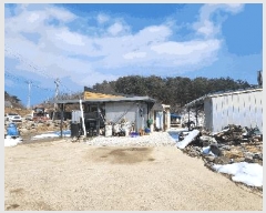  2025Ÿ��10193 ��� ������ ������ ������ 1102      ���ð��