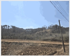  2025Ÿ��10201 ��� ������ ���� �ΰ ��74      ����(�Ӿ�)���