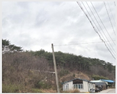  2025Ÿ��10201 ��� ������ ���� �ΰ ��74      ����(�Ӿ�)���