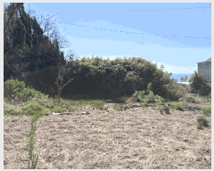  2025Ÿ��10203  �������