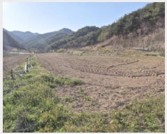  2025Ÿ��10207 ��� ������ â���� �ű⸮ 446-2      ����(��1)���