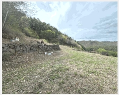  2025Ÿ��10209 ��� ���籺 û��� ������ 357      ����(��1)���