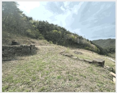  2025Ÿ��10209 ��� ���籺 û��� ������ 357      ����(��1)���