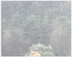  2025Ÿ��10209 ��� ���籺 û��� ������ 357      ����(��1)���