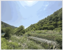  2025Ÿ��10213 ��� ������ �޻�� ��⸮ 278-2      ����(��1)���