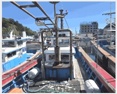  2025Ÿ��10241 ��� ������ ���� ����� .      ���ڰ��