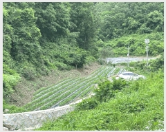 2025Ÿ��10255 ��� ���籺 �Ծϸ� ���и� 1027      ����(��1)���