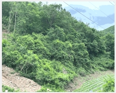  2025Ÿ��10255 ��� ���籺 �Ծϸ� ���и� 1027      ����(��1)���