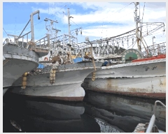  2025Ÿ��10327 ��� ���ֽ� ������ ������ 504-50      ���ڰ��