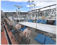  2025Ÿ��10327 ��� ���ֽ� ������ ������ 504-50      ���ڰ��