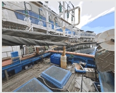  2025Ÿ��10327 ��� ���ֽ� ������ ������ 504-50      ���ڰ��