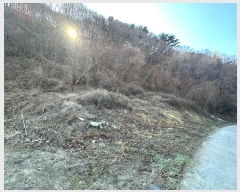  2025Ÿ42    ϸ 234-6      (1)