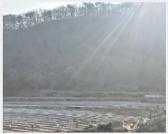  2025Ÿ42    ϸ 234-6      (1)