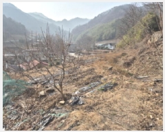  2025Ÿ42    ϸ 234-6      (1)