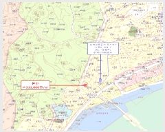  2025Ÿ202   ׺  296-2      ð