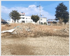  2025Ÿ��301  �������