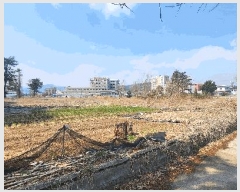  2025Ÿ��301  �������