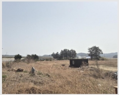  2025Ÿ��301  �������