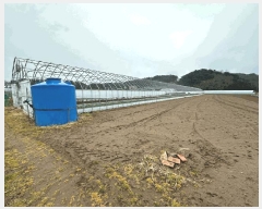  2025Ÿ��349  �����