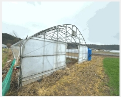  2025Ÿ��349  �����