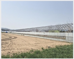  2025Ÿ��349  �����