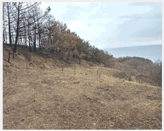  2025Ÿ��387 ��� ������ ������ â���� 37      ����(��1)���