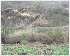  2025Ÿ��387 ��� ������ ������ â���� 37      ����(��1)���