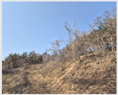  2025Ÿ��387 ��� ������ ������ â���� 37      ����(��1)���