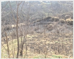  2025Ÿ��387 ��� ������ ������ â���� 37      ����(��1)���