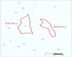  2025Ÿ��387 ��� ������ ������ â���� 37      ����(��1)���