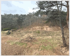  2025Ÿ��424  �����