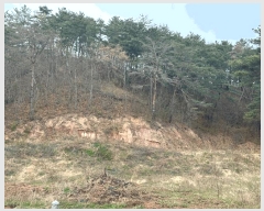  2025Ÿ��424  �����