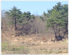  2025Ÿ��424  �����