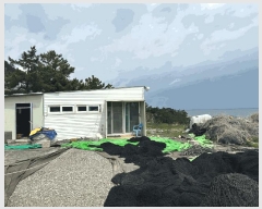  2025Ÿ��448 ��� ������ ������ ���︮ 2-5      ����(����)���