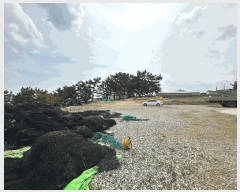  2025Ÿ��448 ��� ������ ������ ���︮ 2-5      ����(����)���