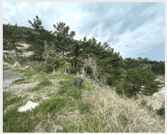  2025Ÿ��448 ��� ������ ������ ���︮ 2-5      ����(����)���