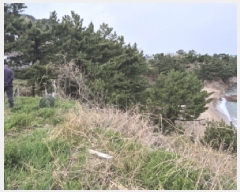  2025Ÿ��448 ��� ������ ������ ���︮ 2-5      ����(����)���