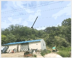  2025Ÿ��462 ��� ������ ������ ������ 559      ����(��1)���