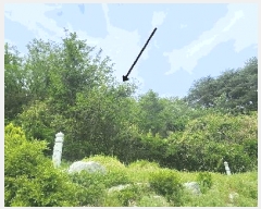  2025Ÿ��462 ��� ������ ������ ������ 559      ����(��1)���