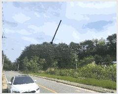  2025Ÿ��462 ��� ������ ������ ������ 559      ����(��1)���