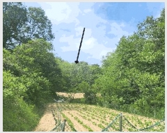  2025Ÿ��462 ��� ������ ������ ������ 559      ����(��1)���