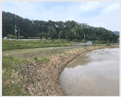  2025Ÿ��462 ��� ������ ������ ������ 559      ����(��1)���