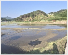  2025Ÿ��462 ��� ������ ������ ������ 559      ����(��1)���