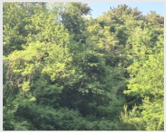  2025Ÿ��462 ��� ������ ������ ������ 559      ����(��1)���